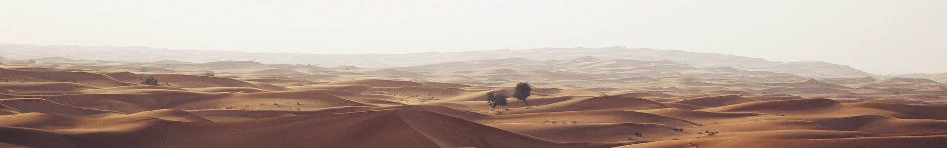 㽭ػеƼ޹˾